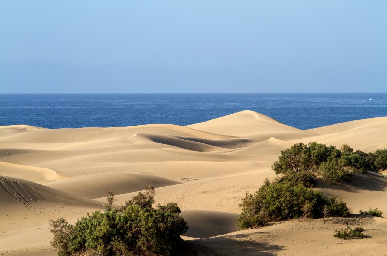 Bungalow En Maspalomas Maspalomas  Exteriör bild